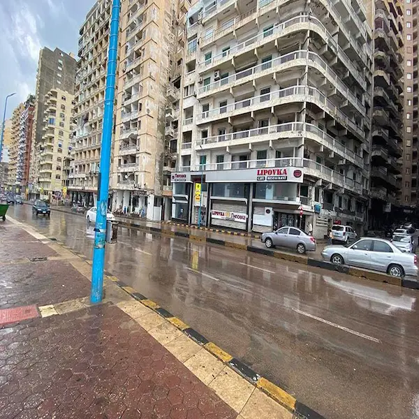العصافرة الاسكندرية 2023